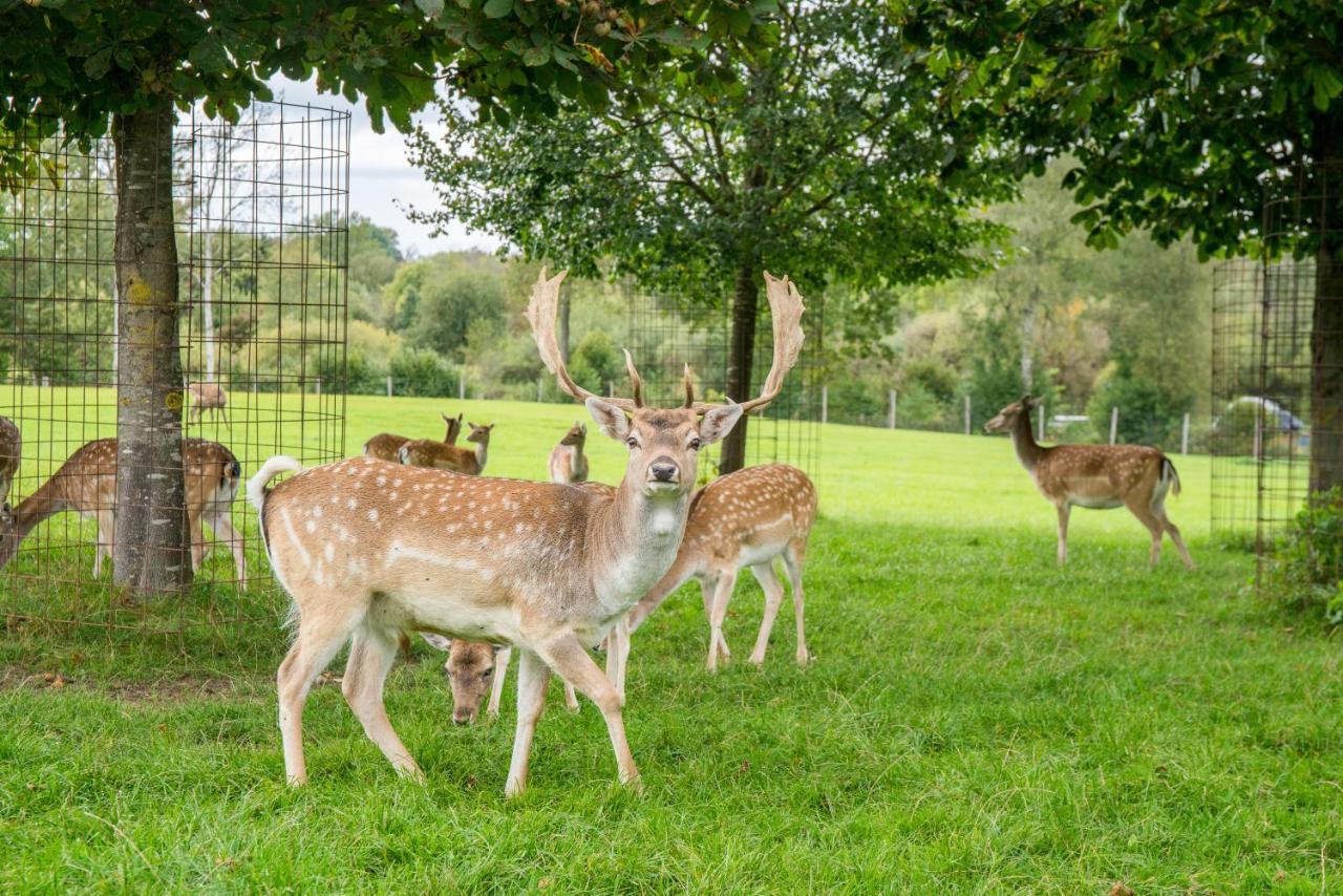 Hotel Hofgut Tiergarten Aulendorf Luaran gambar